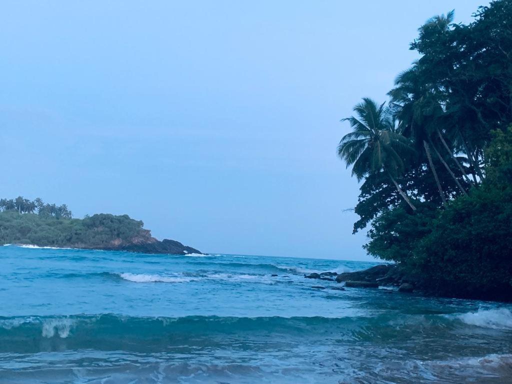 Surf Villa Hiriketiya Matara Ngoại thất bức ảnh